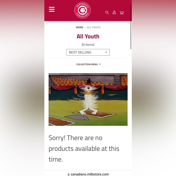 Signed Canadians Baseball (Nat Bailey) Youth Jersey - Picture 9 of 10